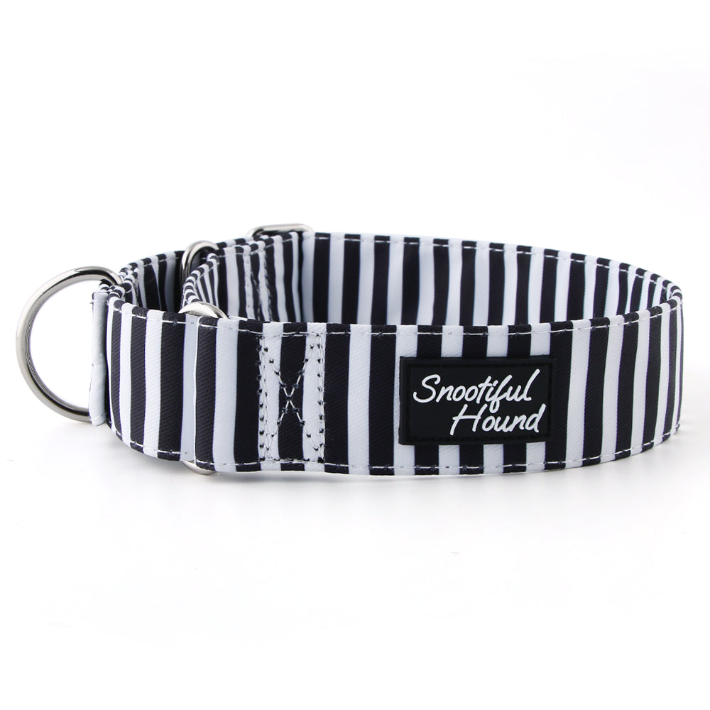 black and white striped martingale dog collar