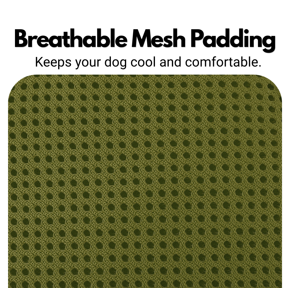 Lightweight Summer Harness for Sighthounds | Breathable, Comfortable & Escape Proof