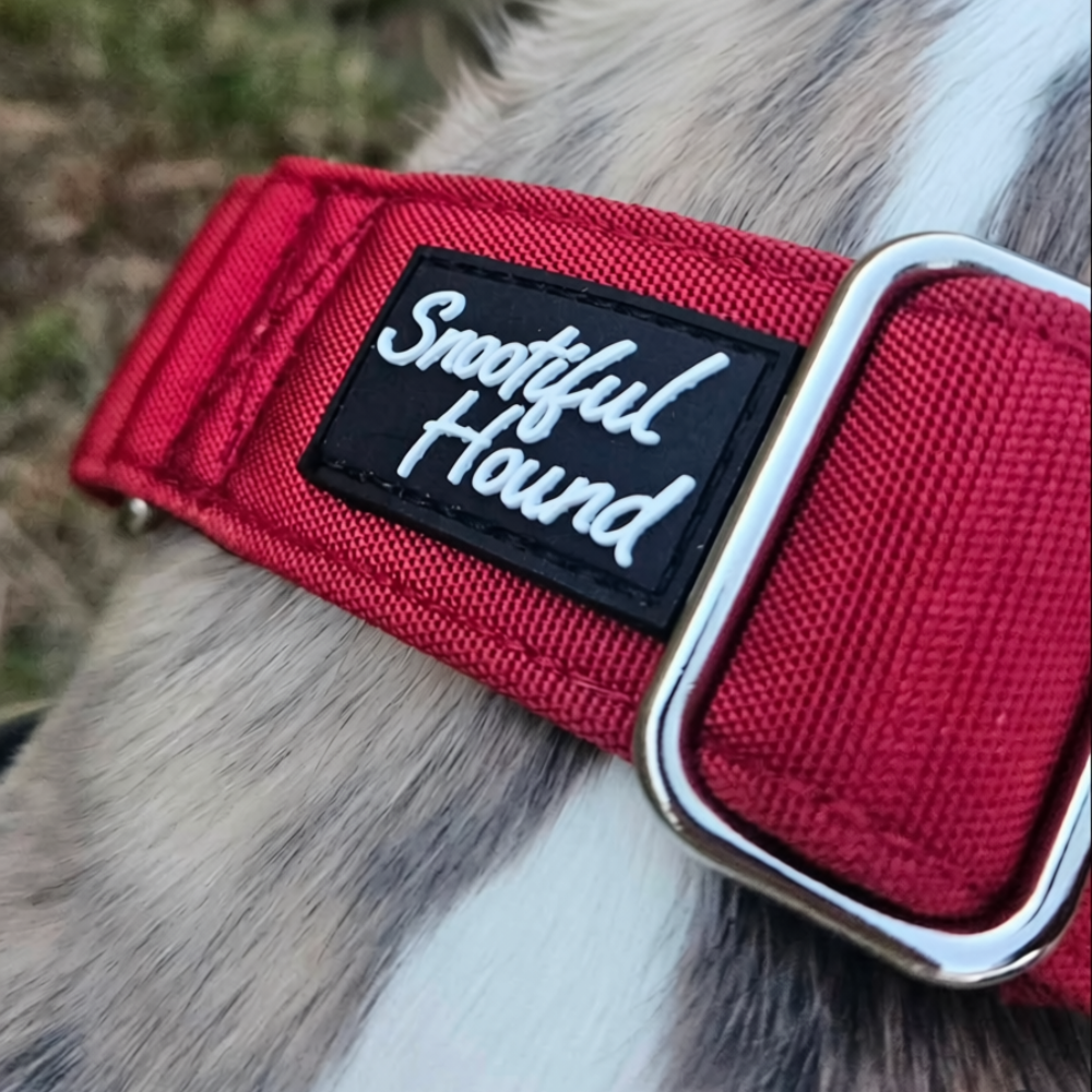 Burgundy Red Padded Martingale Collar for Sighthounds