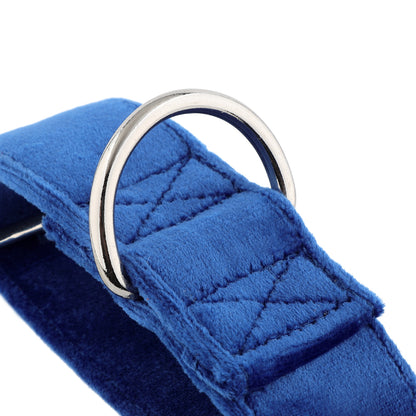 Blue Velvet Martingale Collar for Sighthounds - Soft & Luxurious
