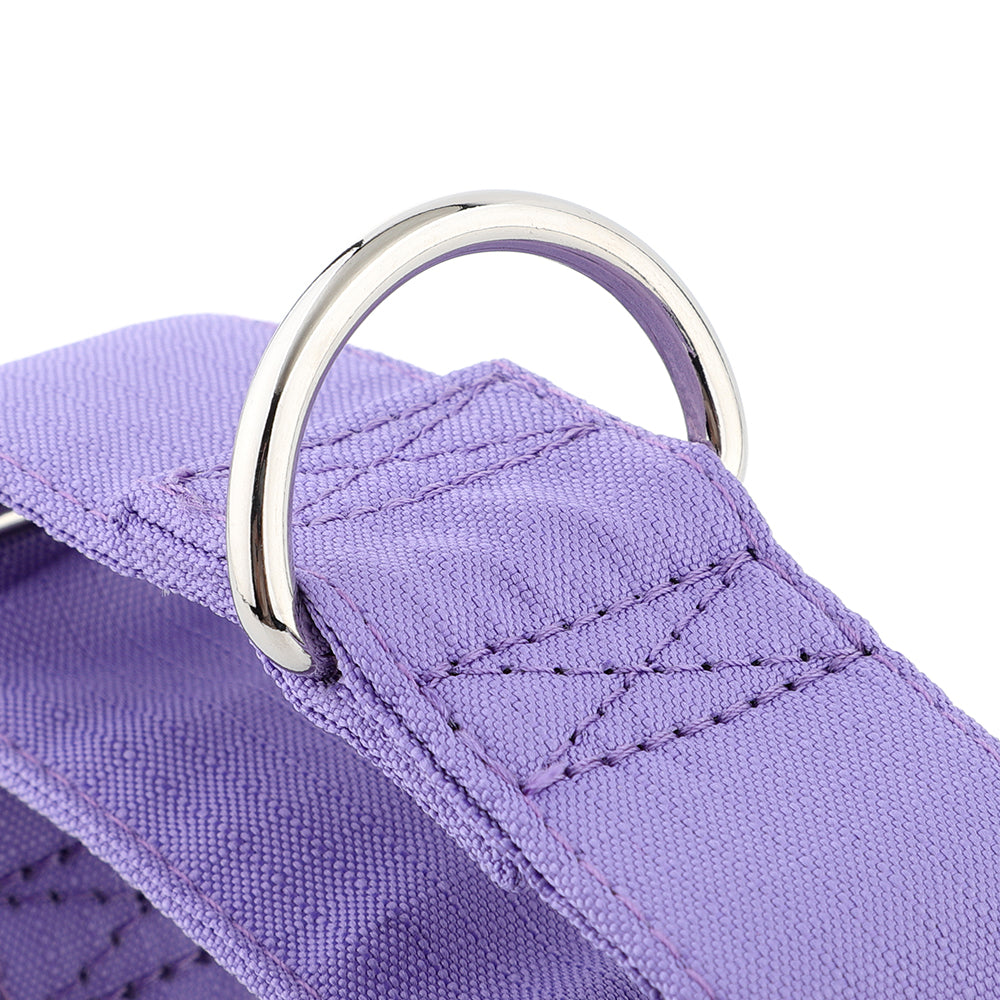 Purple Padded Martingale Collar For Sighthounds