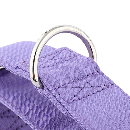 Purple Padded Martingale Collar For Sighthounds
