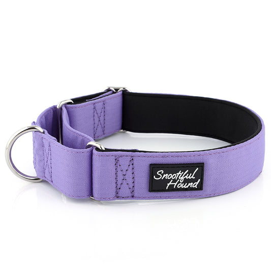 Martingale Collar - Purple | Whippets & Greyhounds | Padded