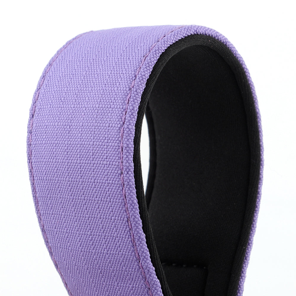 Purple Padded Martingale Collar For Sighthounds