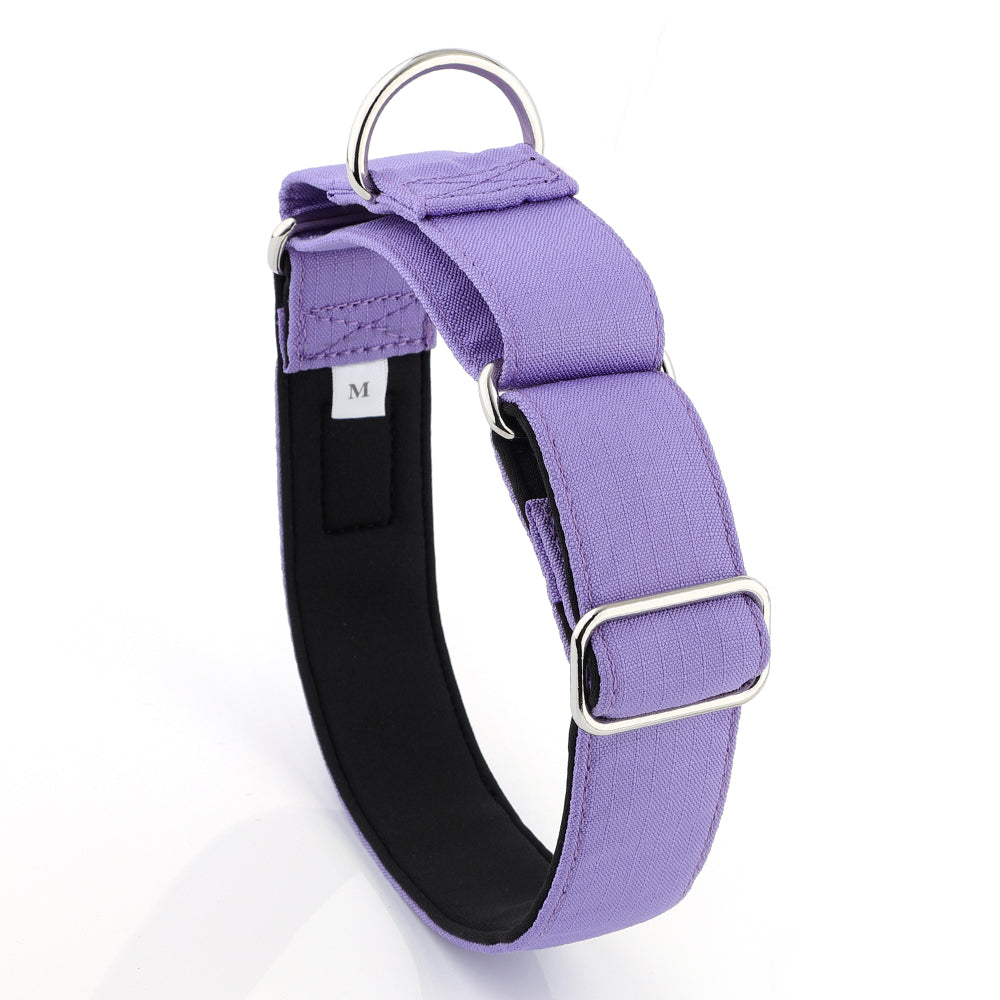 Purple Padded Martingale Collar For Sighthounds