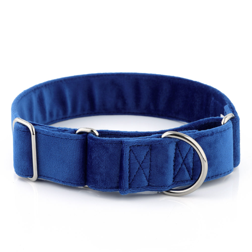 Blue Velvet Martingale Collar for Sighthounds - Soft & Luxurious