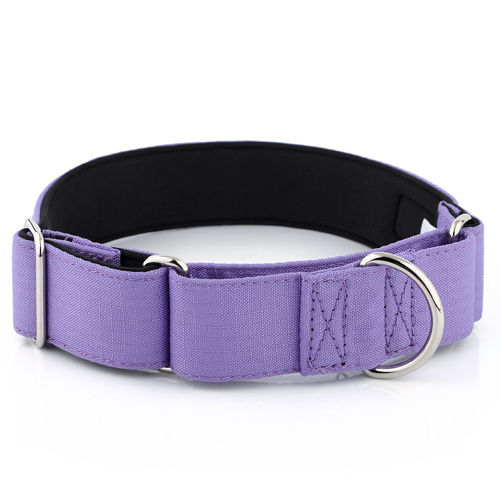 Purple Padded Martingale Collar For Sighthounds