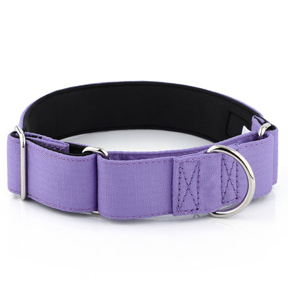Purple Padded Martingale Collar For Sighthounds