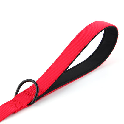 Secure Locking Dog Lead With Carabiner Clip - Padded Handle