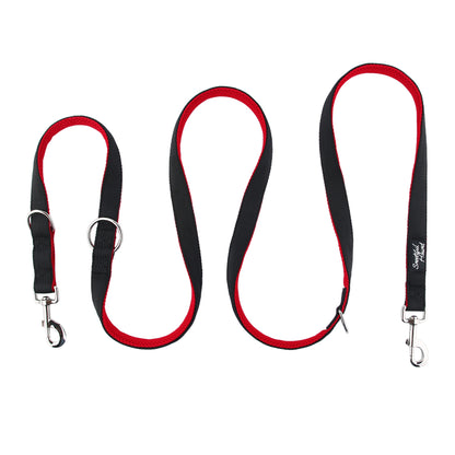 double clip dog lead