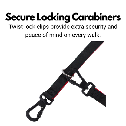 Secure Double Ended Dog Lead With Carabiner Locking Clips - Ideal for Training