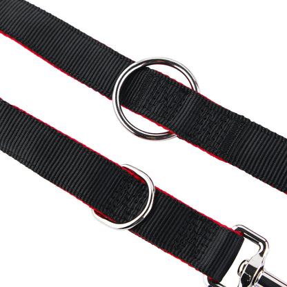 Double Ended Dog Lead - Training Lead With Comfort Mesh Padding
