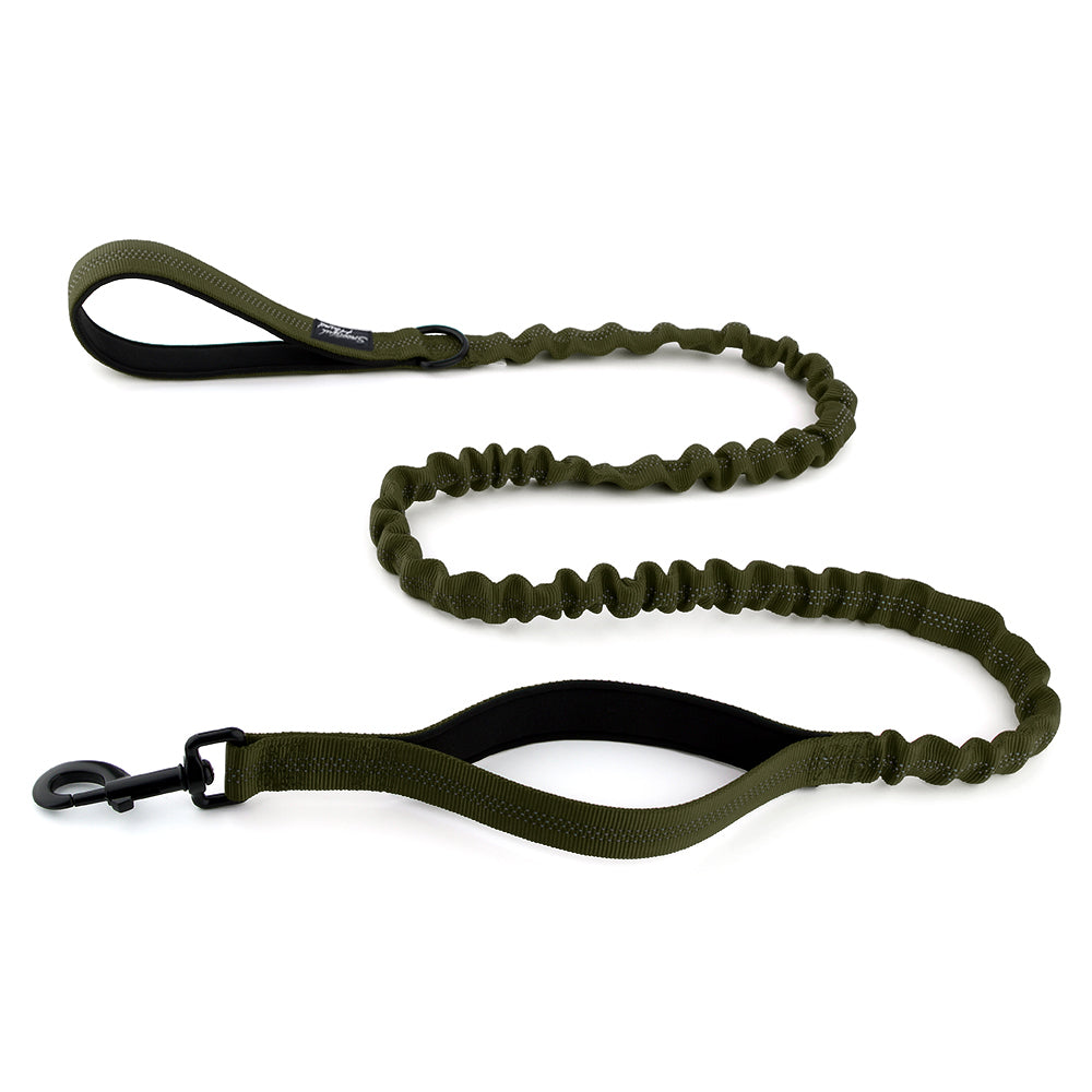 green bungee dog lead