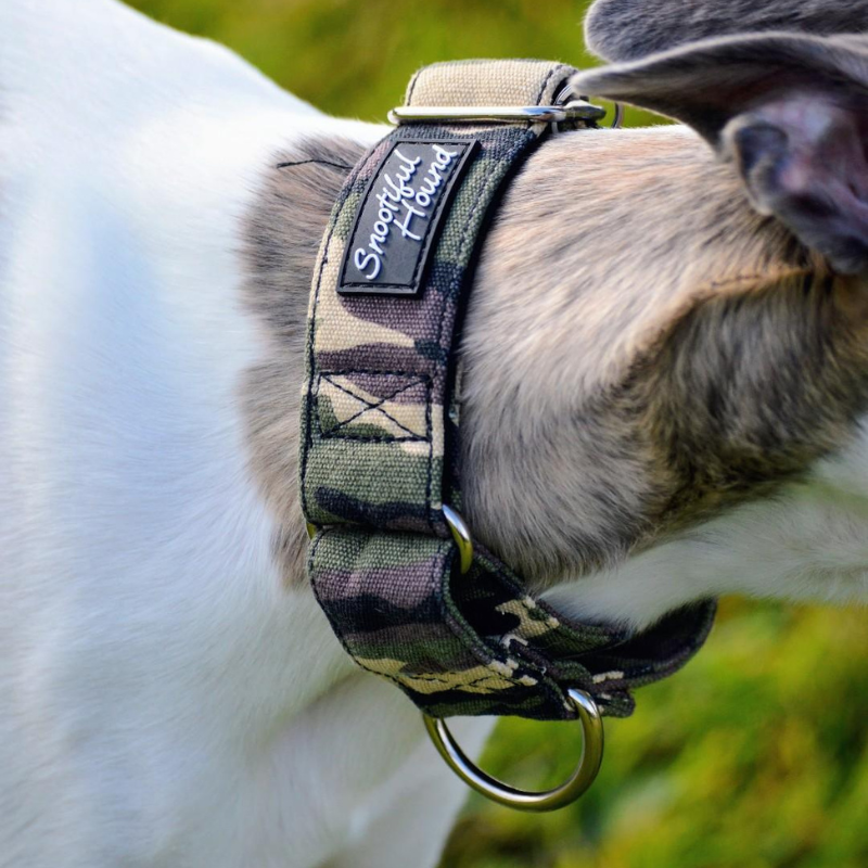 Green Camo Martingale Collar for Sighthounds - Padded