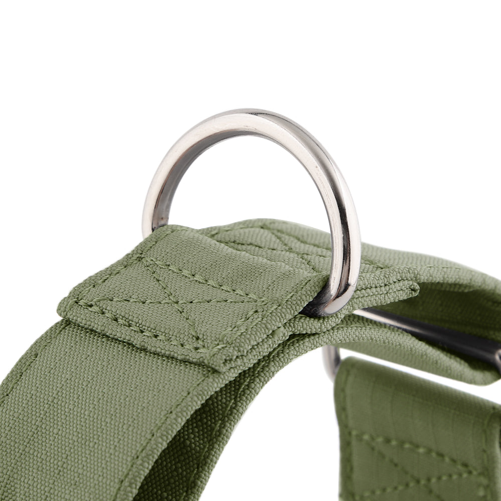 Sighthound Martingale Collar - Olive Green