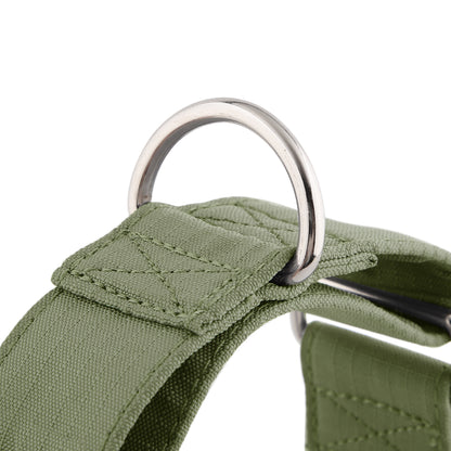 Martingale Collar - Olive Green | Whippets & Greyhounds