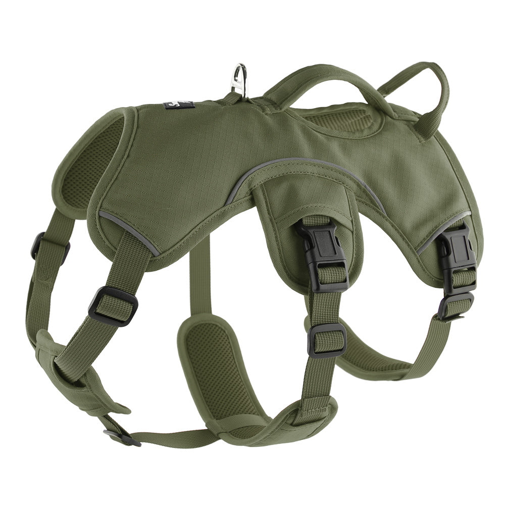 olive green sighthound harness