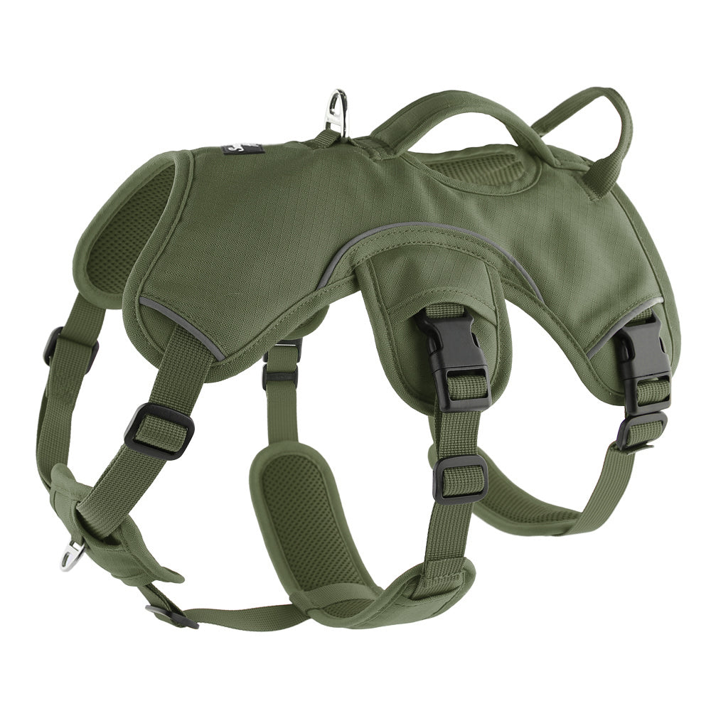 olive green sighthound harness