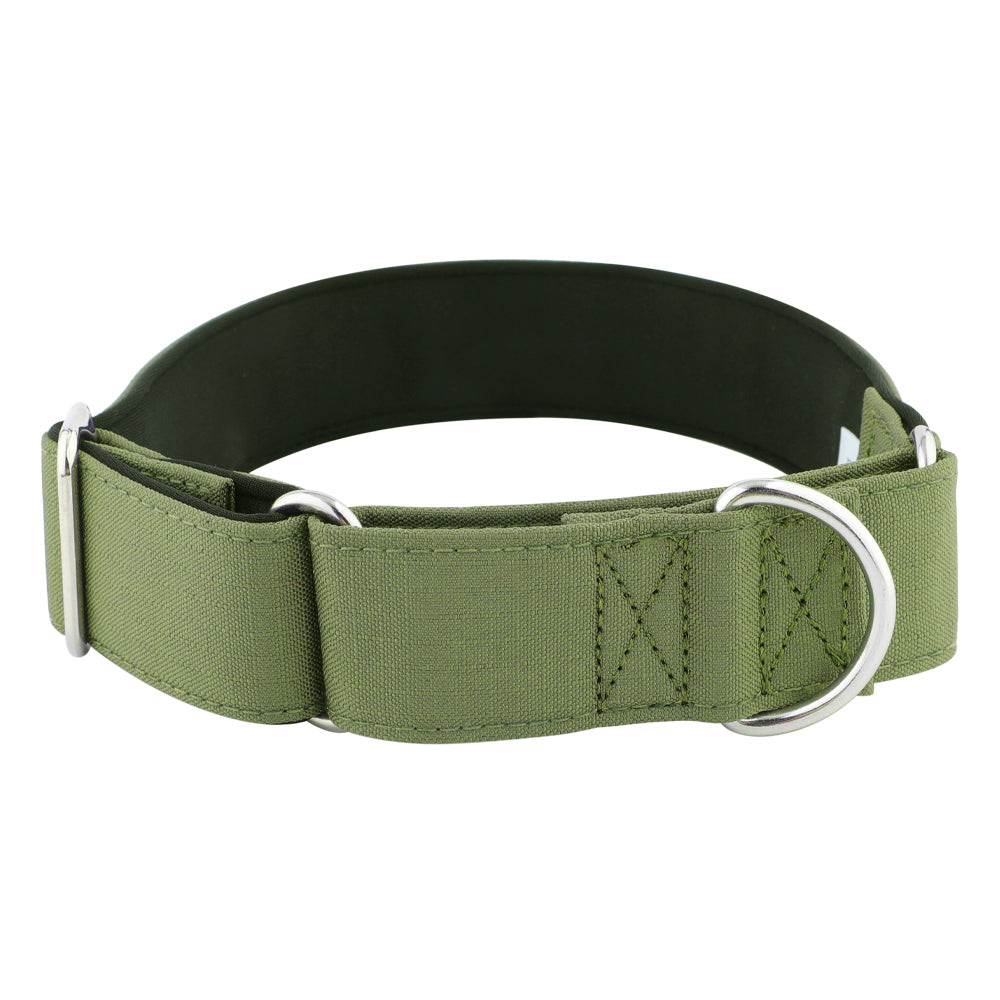 Olive Green Padded Martingale Collar for Sighthounds