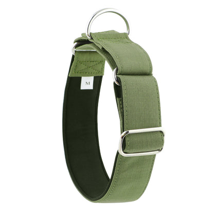 Olive Green Padded Martingale Collar for Sighthounds