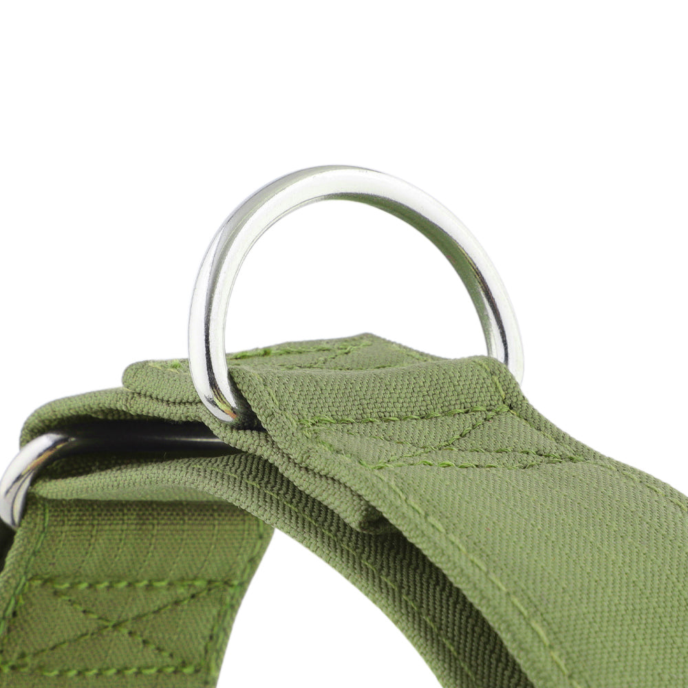 Olive Green Padded Martingale Collar for Sighthounds