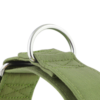 Olive Green Padded Martingale Collar for Sighthounds