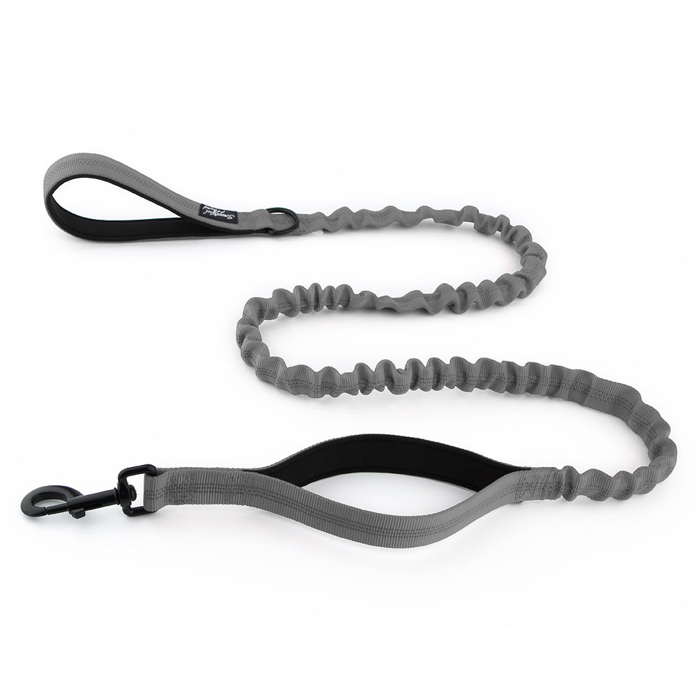 grey bungee dog lead