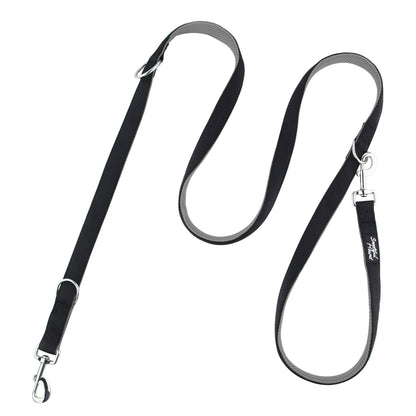 grey dog training lead