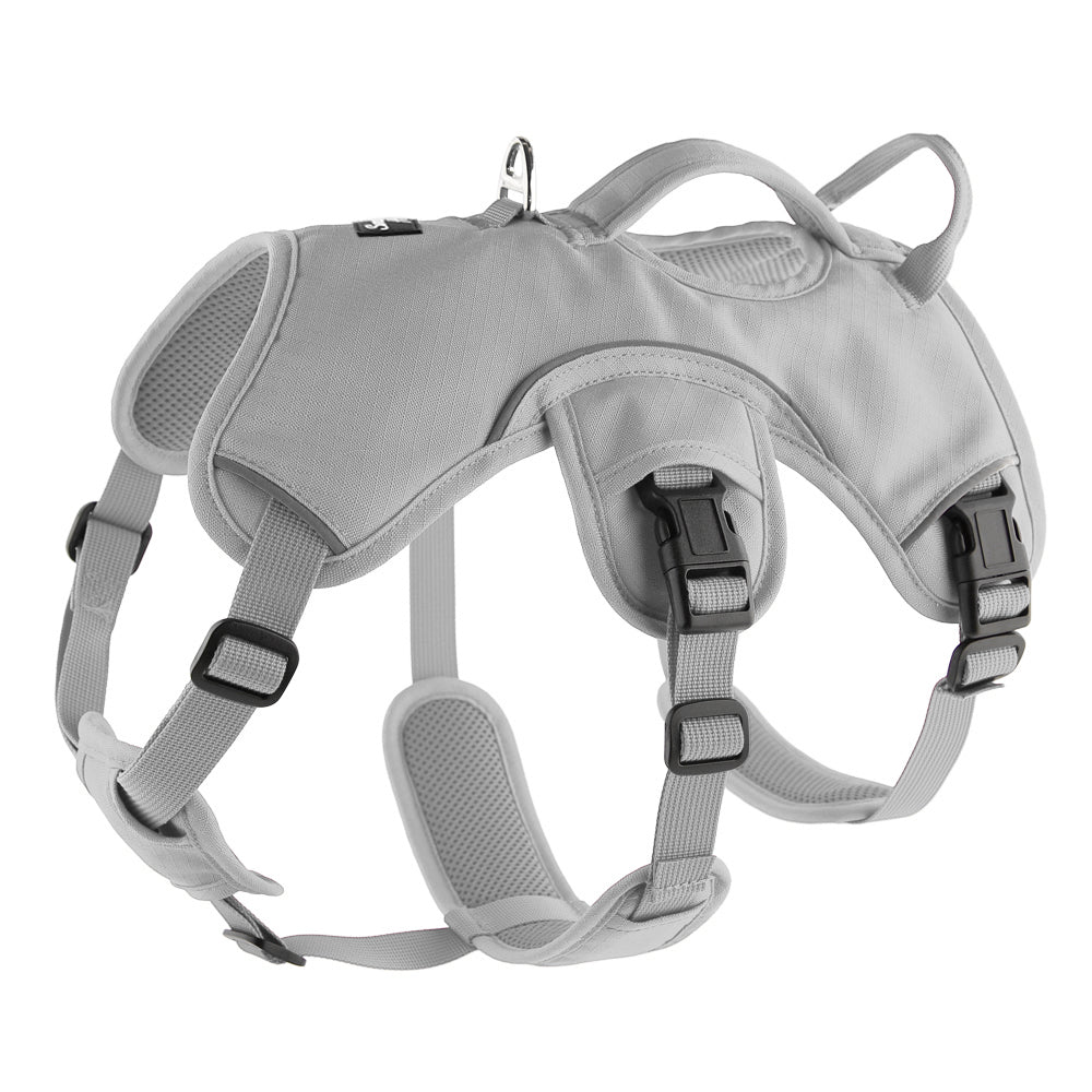 light grey sighthound harness