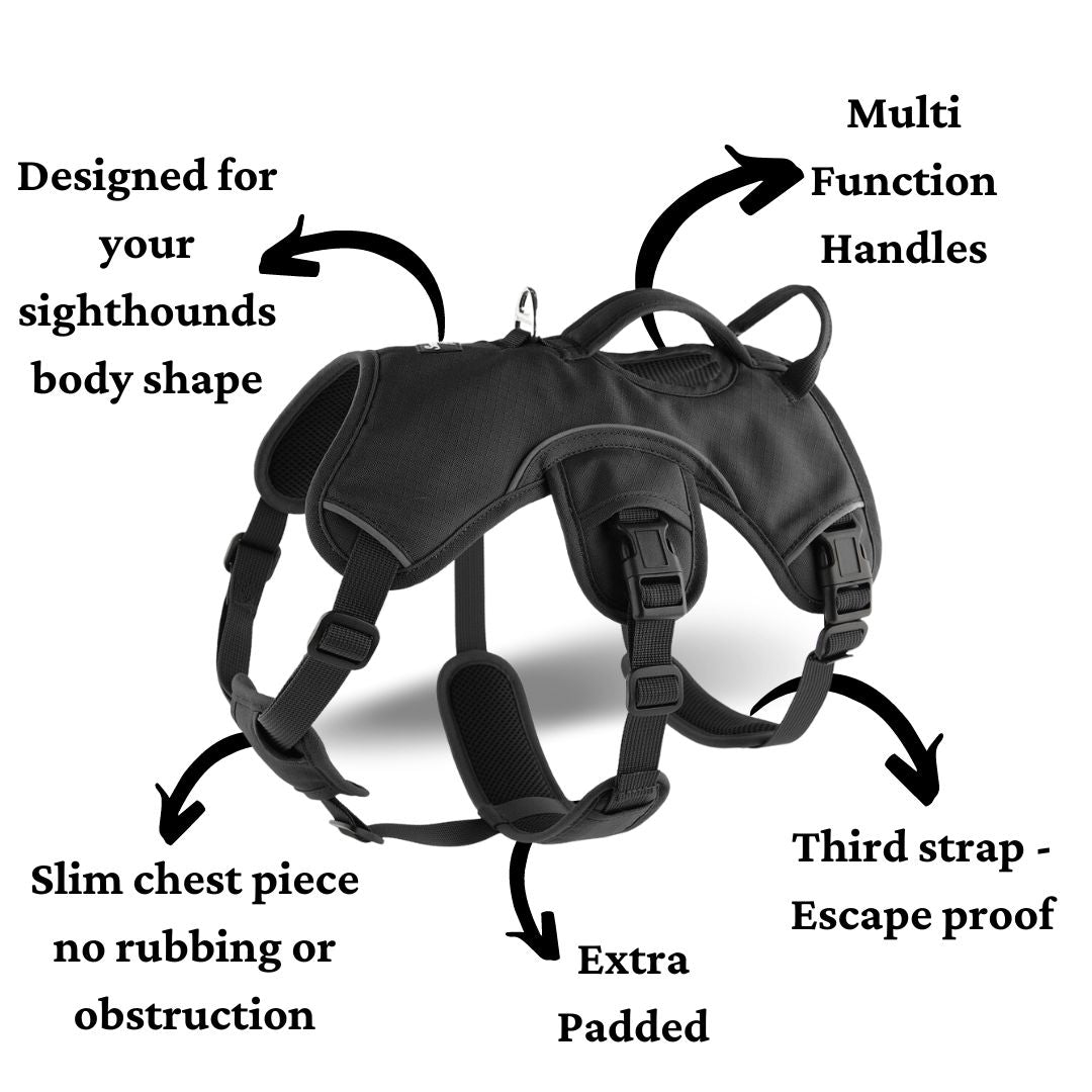 sighthound harness features