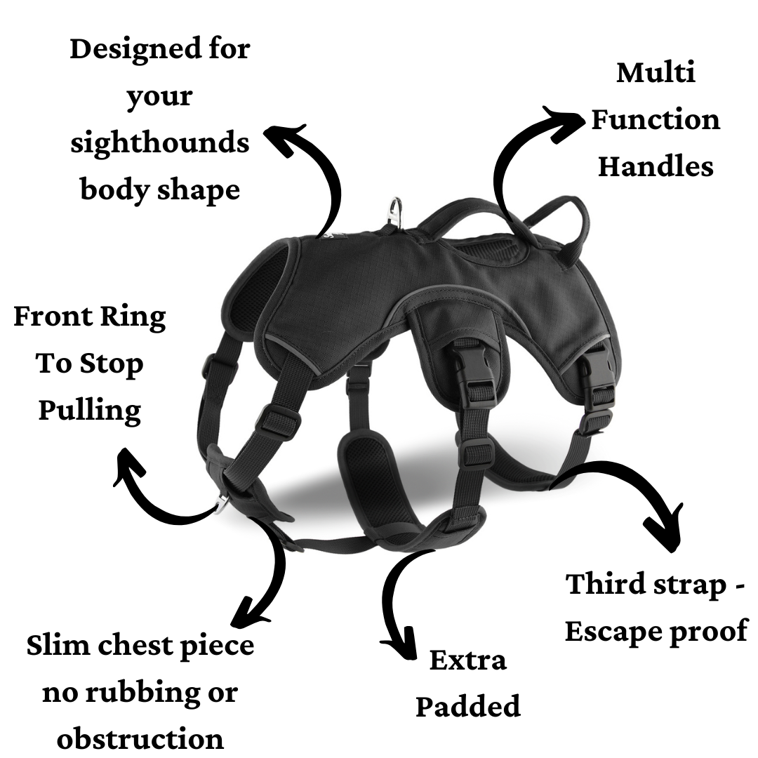image showing features that make this the best sighthound harness