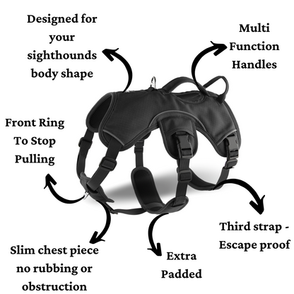 image showing features that make this the best sighthound harness