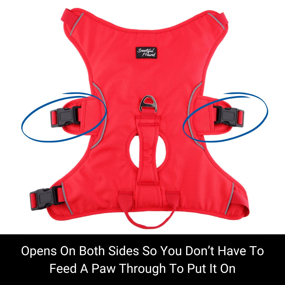 harness with 2 buckles so you don't have to step in