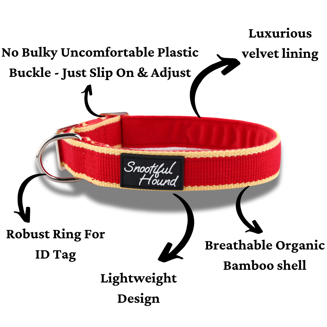 house collar for greyhounds and whippets