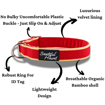 house collar for greyhounds and whippets