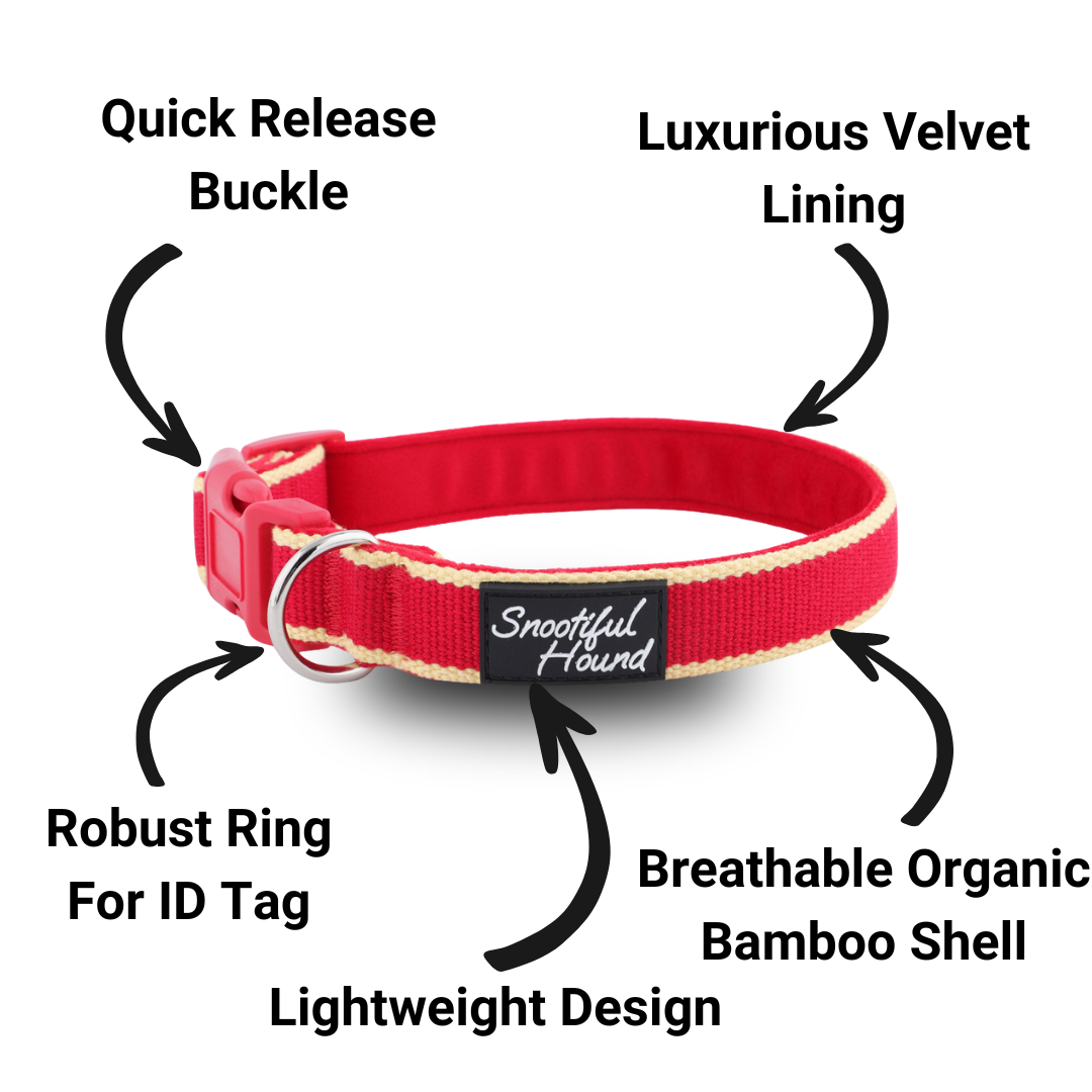 House Collar - Organic Bamboo & Soft Velvet Lining - Quick Release Buckle