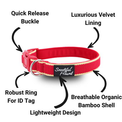 House Collar - Organic Bamboo & Soft Velvet Lining - Quick Release Buckle