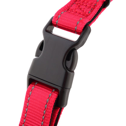 ID Dog Collar - Padded & Reflective- Greyhounds & Whippets