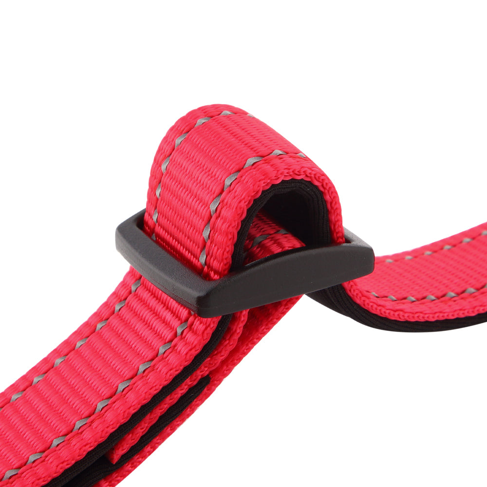 ID Dog Collar - Padded & Reflective- Greyhounds & Whippets