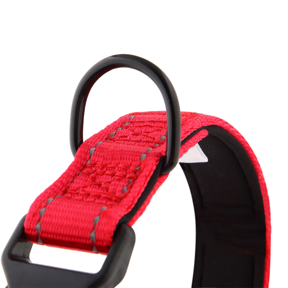 ID Dog Collar - Padded & Reflective- Greyhounds & Whippets