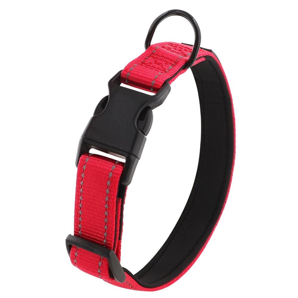 ID Dog Collar - Padded & Reflective- Greyhounds & Whippets