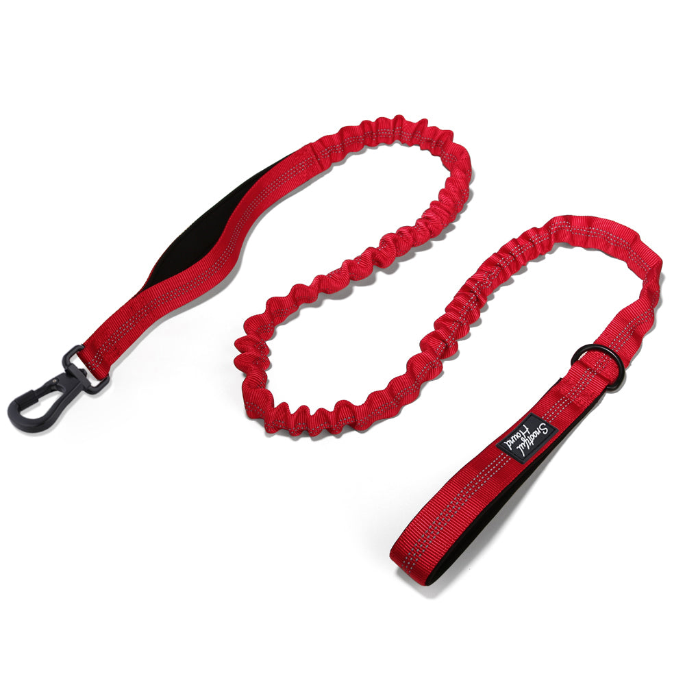 Secure Bungee Dog Lead With Carabiner Locking Clip - Double Handle