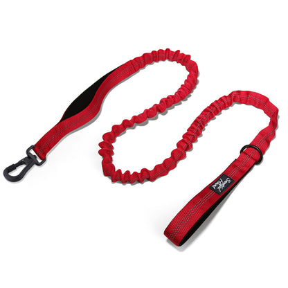 Secure Bungee Dog Lead With Carabiner Locking Clip - Double Handle