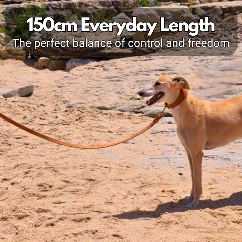Leather Dog Lead - 150cm - Braided Finish