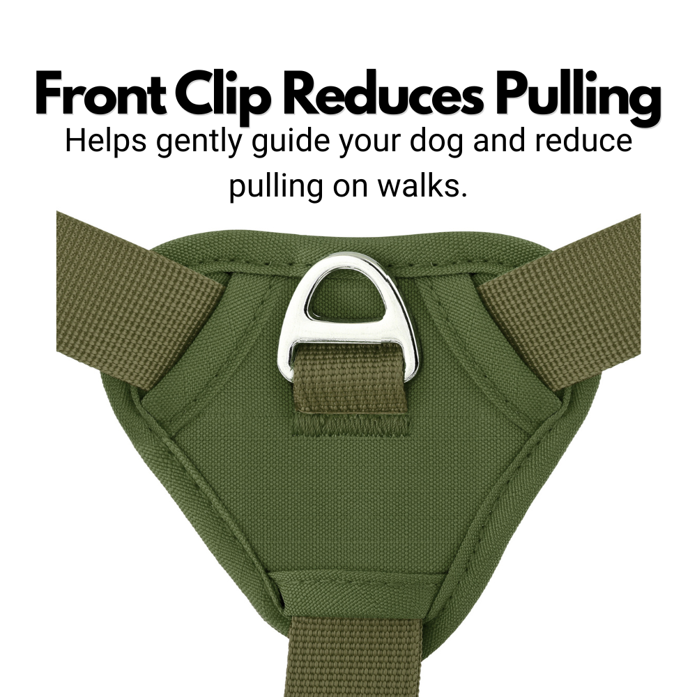 Lightweight Summer Harness for Sighthounds | Breathable, Comfortable & Escape Proof
