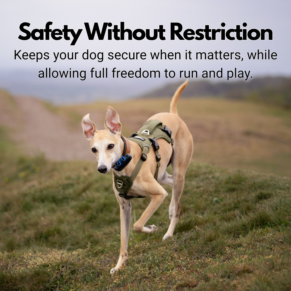 Lightweight Summer Harness for Sighthounds | Breathable, Comfortable & Escape Proof