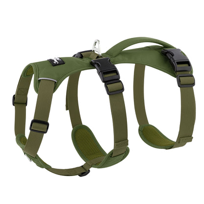lightweight summer harness for sighthounds
