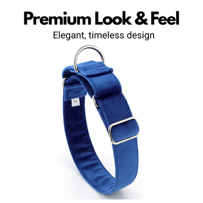 Blue Velvet Martingale Collar for Sighthounds - Soft & Luxurious