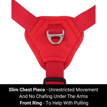 No pull harness with front ring