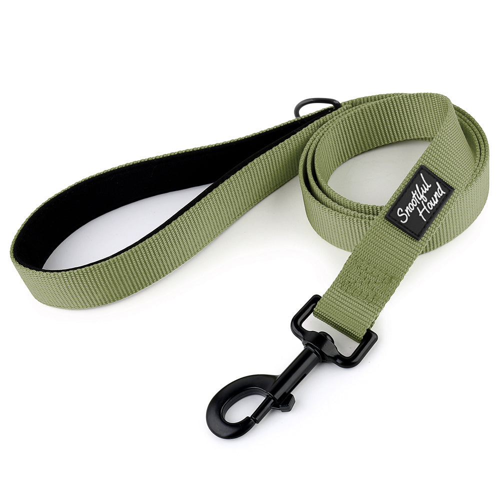 Green dog leash with black clip on a white background